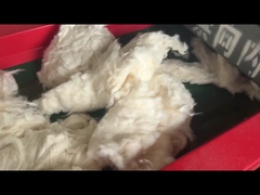 Mô hình 800F lỗ màn hình 6mm, máy cắt bông, máy cắt nghiền